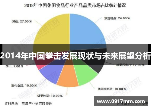 2014年中国拳击发展现状与未来展望分析